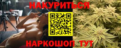 сатива Шахты