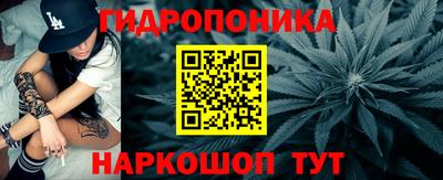 твердый Шелехов