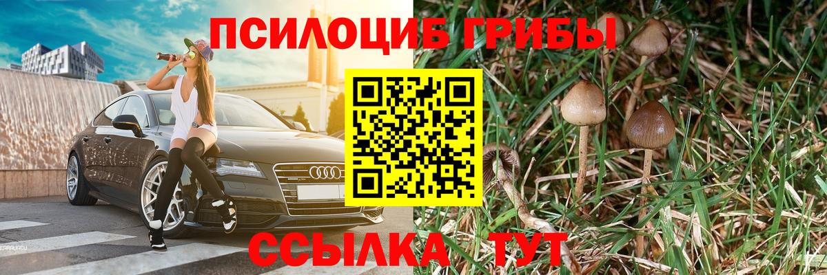 Псилоцибиновые грибы Cubensis Сухой Лог