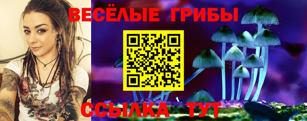 Псилоцибиновые грибы ЛСД  Вход с VPN  Сухой Лог 